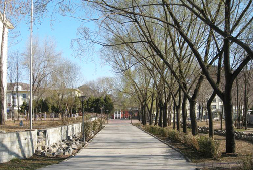 养老基地外景